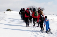 Weekend in Rifugio con ciaspolata e percorsi sospesi sopra gli alberi